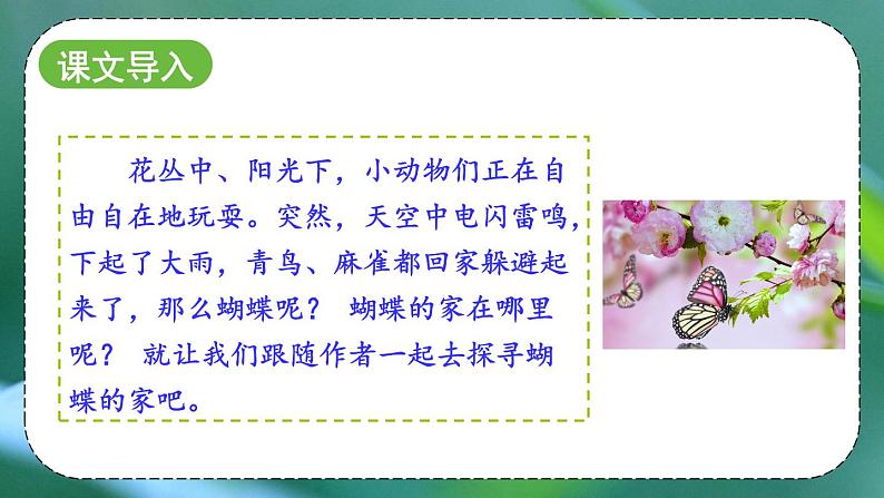 部编版语文 四年级上册《蝴蝶的家》 课件第1页