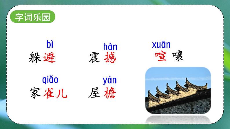 部编版语文 四年级上册《蝴蝶的家》 课件第5页