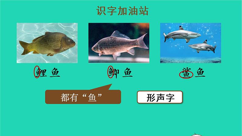 2022三年级语文上册 第六单元 语文园地六教学课件 新人教版08