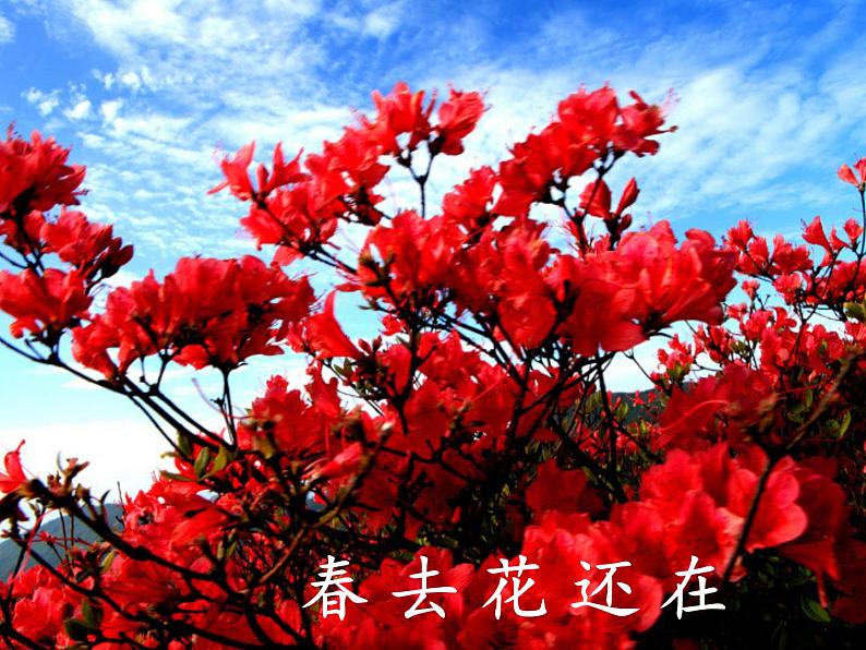 部编版一年级语文6画(34)课件第5页