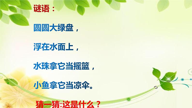部编版小学语文一年级下册13 荷叶圆圆(10) 课件第2页