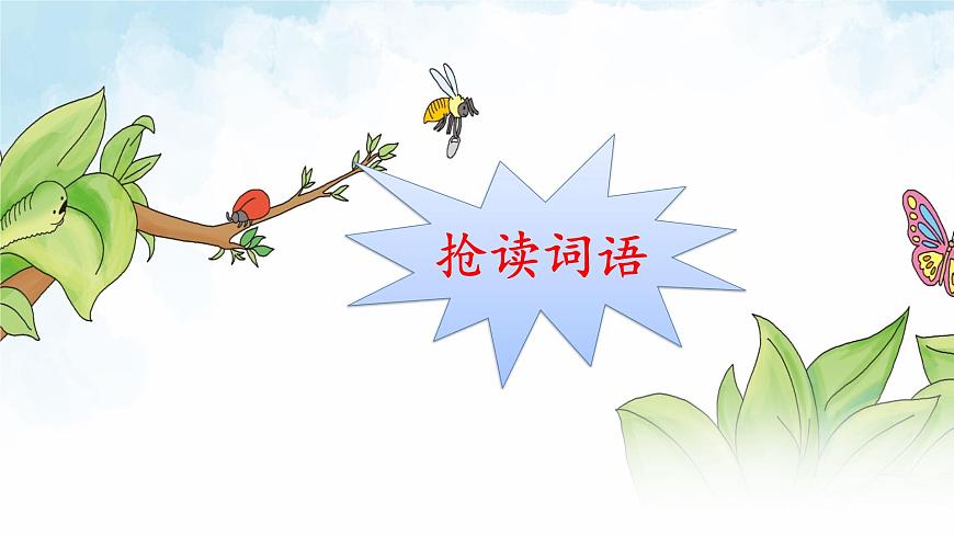 部編版小學(xué)語文二年級下冊22 小毛蟲(2)(課件)第2頁