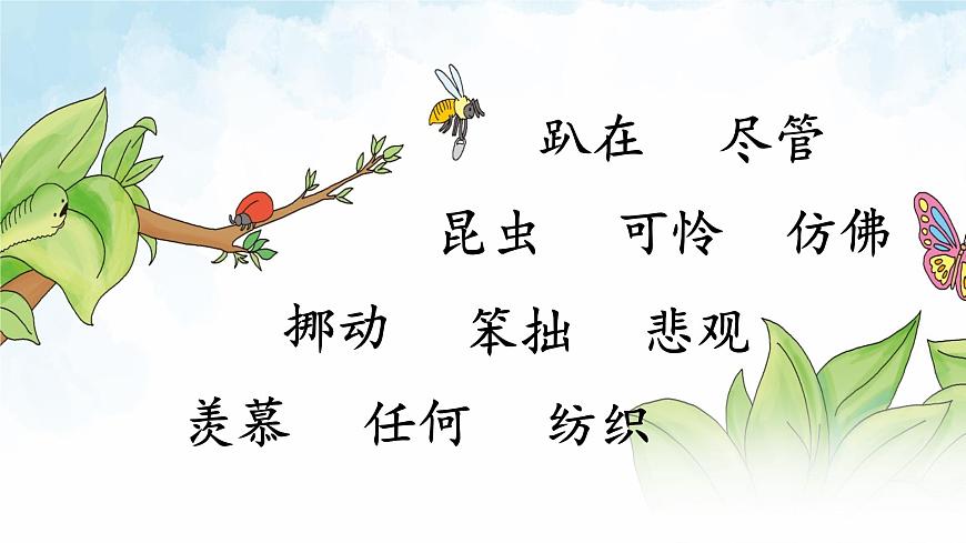 部編版小學(xué)語文二年級下冊22 小毛蟲(2)(課件)第3頁