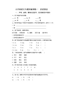 【考前专题突破】六年级下册语文试卷-小升初语文专题突破训练一  汉语拼音（无答案）-部编版