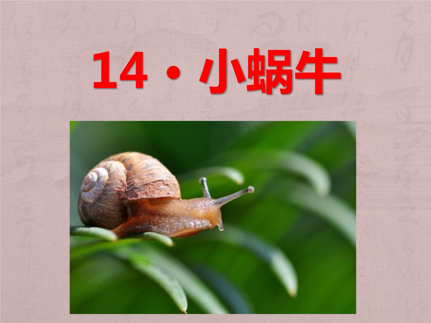 小学语文人教部编版一年级上册14 小蜗牛教学ppt课件