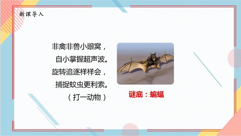 部编版语文四年级上册6.《夜间飞行的秘密》(课件+教案+习题)03