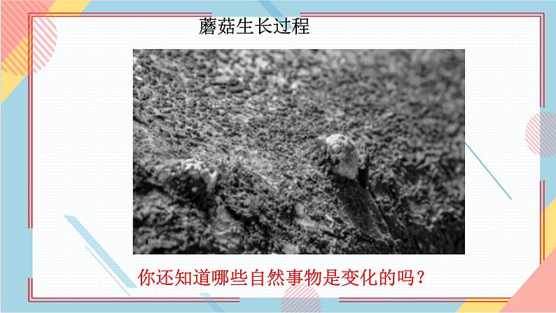 部编版语文四年级上册习作三《写观察日记》(课件+教案)05