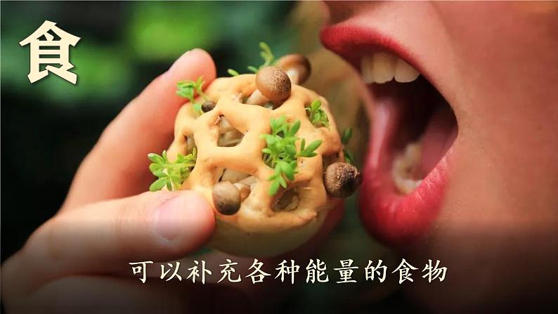 部编版语文六下 习作五:插上科学的翅膀飞 授课课件+教案06