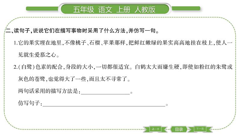 人教版语文五年级上第一单元语文园地一 PPT03