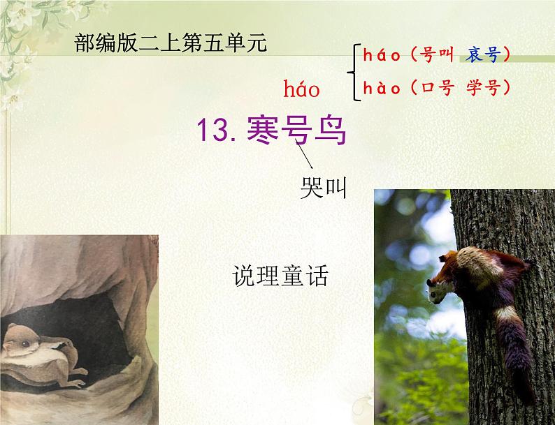 二年级上册语文课件-13.寒号鸟 人教(部编版)(共46张PPT)03
