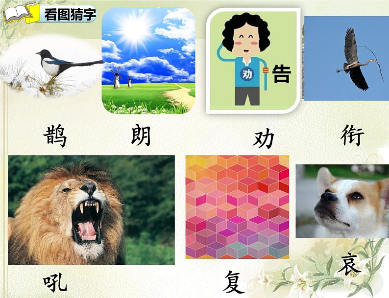 二年级上册语文课件-13.寒号鸟 人教(部编版)(共46张PPT)06