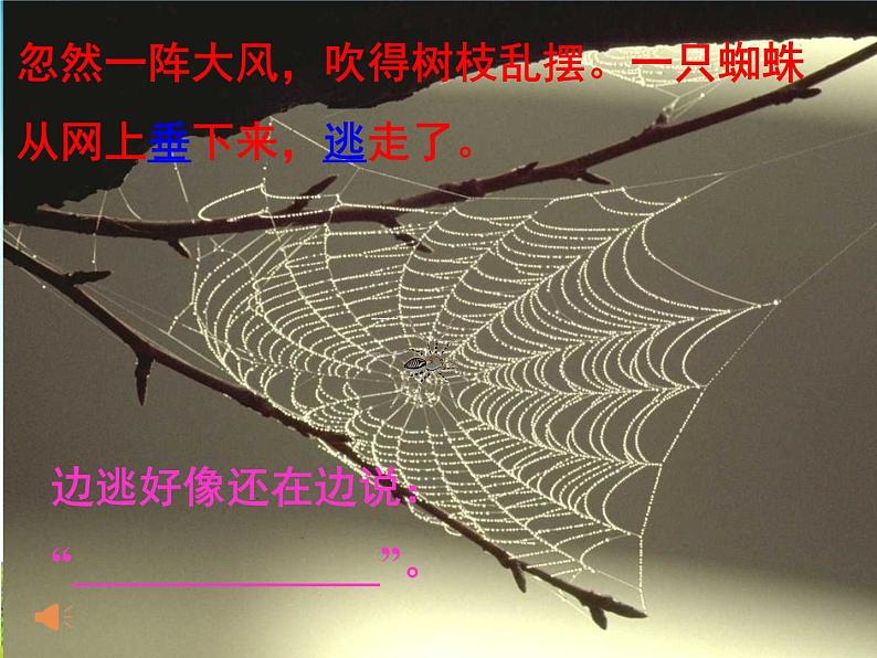 二年级下册语文课件-16.雷雨-部编版(共27张PPT)08