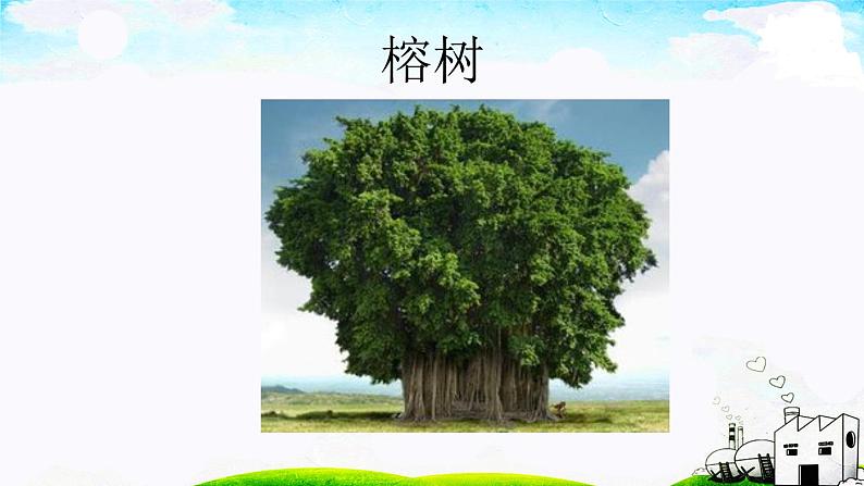 二年级上册语文部编版教案课文识字2.树之歌 课件11第6页