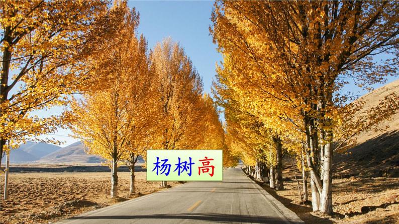 二年级上册语文部编版教案课文识字2.树之歌 课件第5页