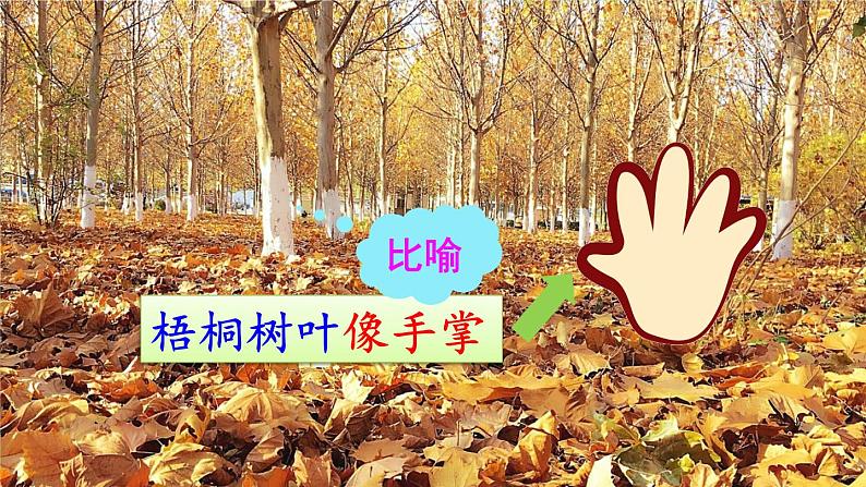 二年级上册语文部编版教案课文识字2.树之歌 课件第7页