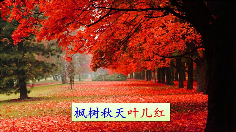 二年级上册语文部编版教案课文识字2.树之歌 课件第8页