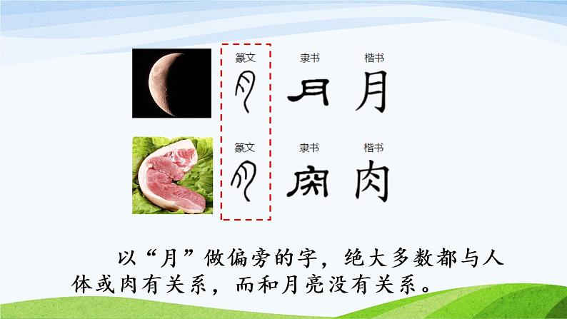 部编版小学语文二年级下册《语文园地四》第1课时教学课件第7页