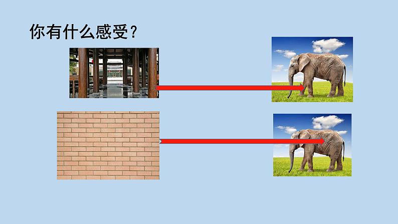 二年级上册语文人教部编版 4.曹冲称象 课件第6页