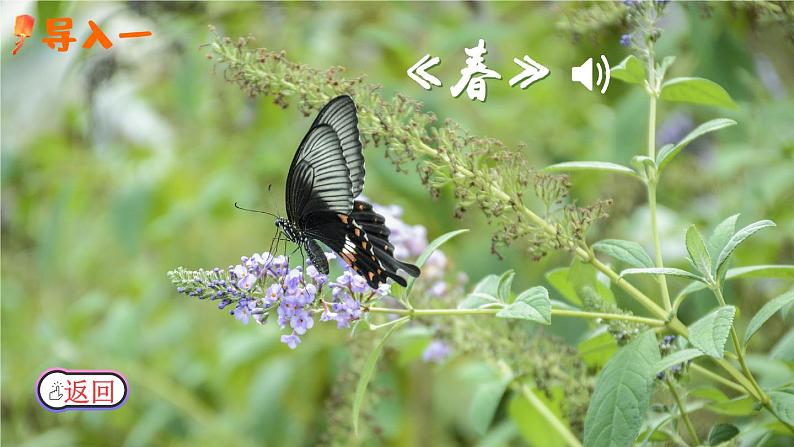 (新)部编版语文六年级上册 第五单元 17 盼 PPT课件+教案素材03