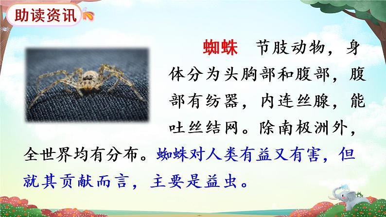 20《蜘蛛开店》课件PPT+生字课件+教案+音视频素材(含课文朗读)04
