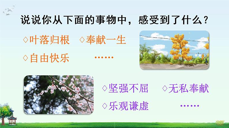 语文园地(课件)第6页