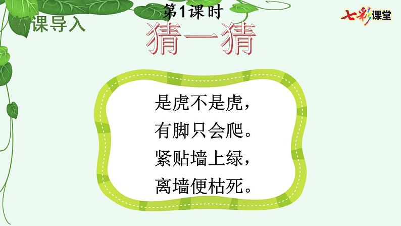 10 爬山虎的脚课件02