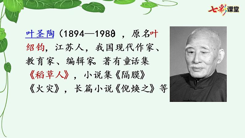 10 爬山虎的脚课件06