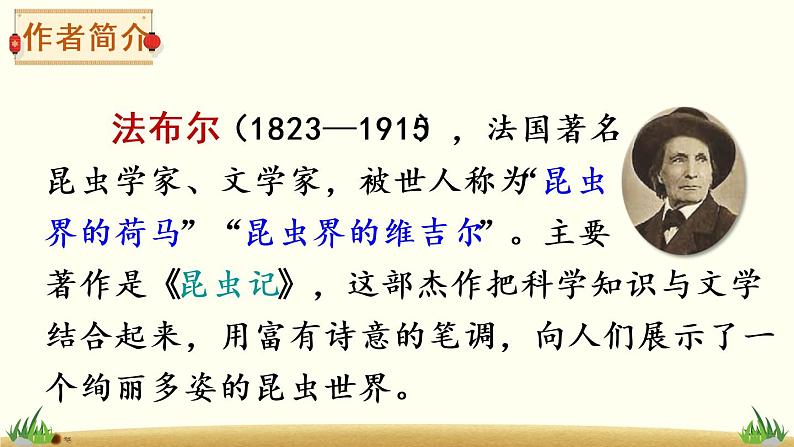 11 蟋蟀的住宅(课件)第7页