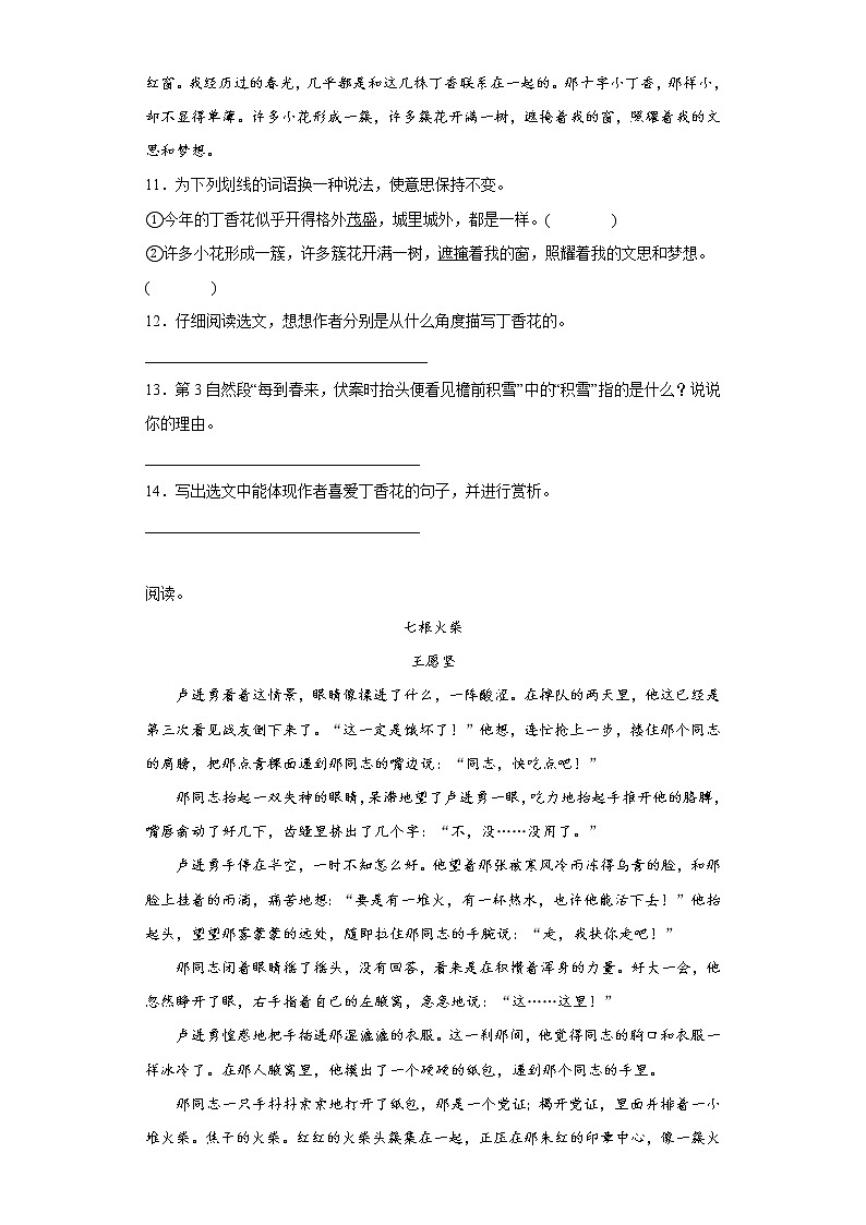部编版语文六年级上册期中拔高复习试题(九)第3页