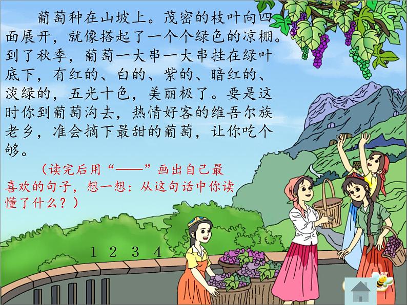 二年级上册语文人教部编版 11.葡萄沟 课件08