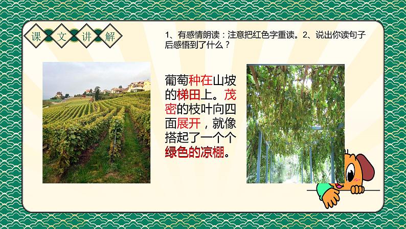 二年级上册语文人教部编版 11.葡萄沟 课件07
