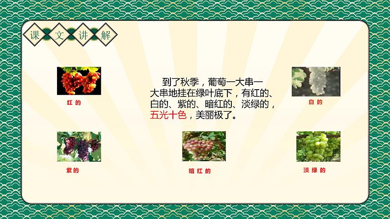 二年级上册语文人教部编版 11.葡萄沟 课件08