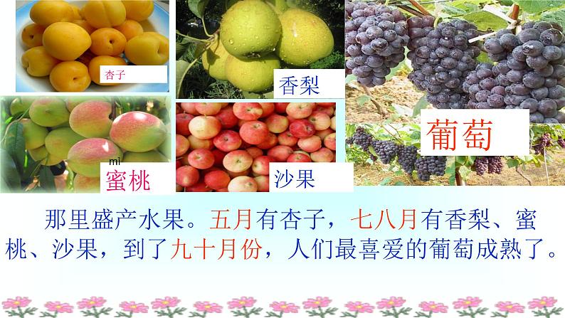 二年级上册语文人教部编版 11.葡萄沟 课件第7页