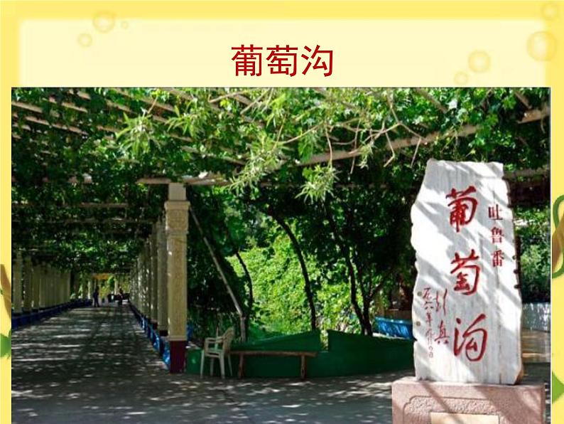 二年级上册语文人教部编版 11.葡萄沟 课件第1页