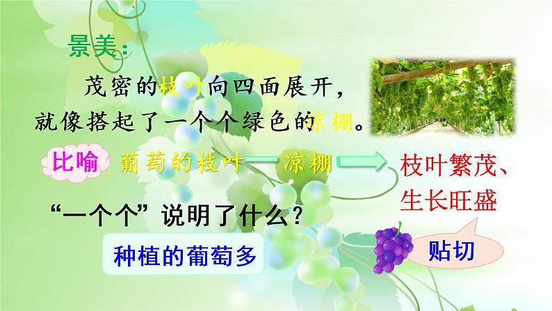 二年级上册语文人教部编版 11.葡萄沟 课件07