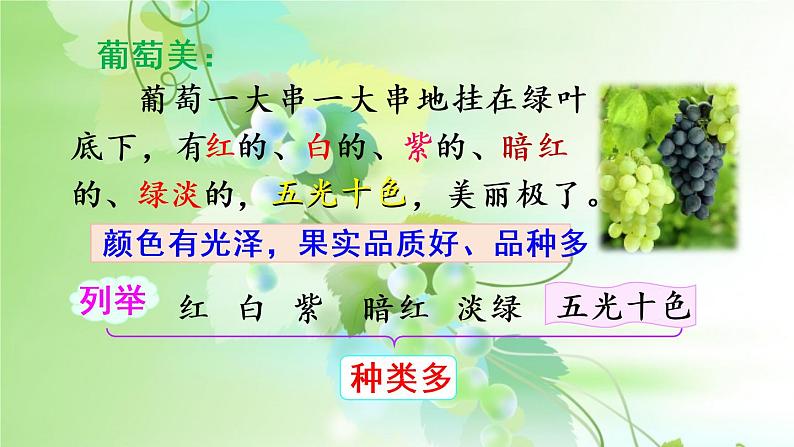 二年级上册语文人教部编版 11.葡萄沟 课件08