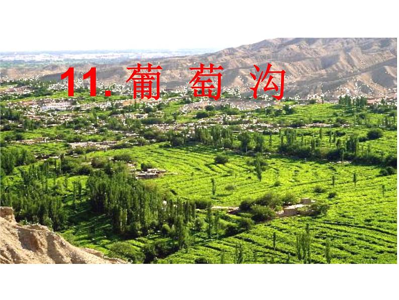 二年级上册语文人教部编版 11.葡萄沟 课件第1页