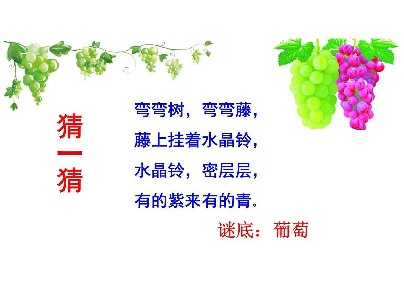 二年级上册语文人教部编版 11.葡萄沟 课件第2页