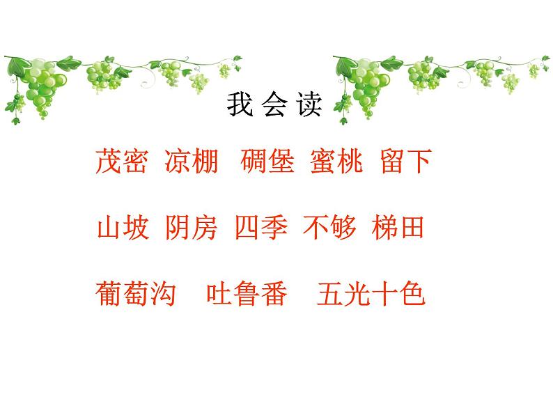 二年级上册语文人教部编版 11.葡萄沟 课件第3页