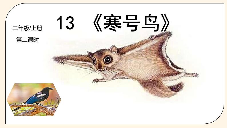 二年级上册语文人教部编版13.寒号鸟 课件01