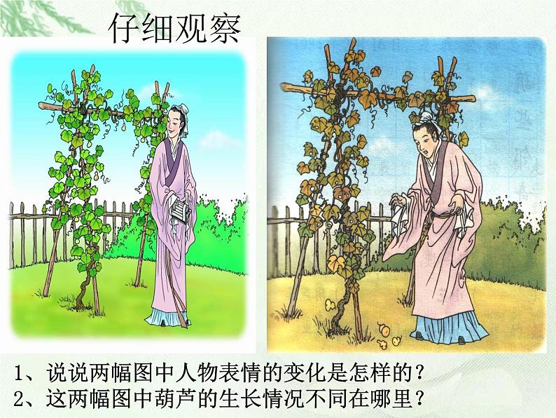 二年级上册语文人教部编版14.我要的是葫芦 课件第8页