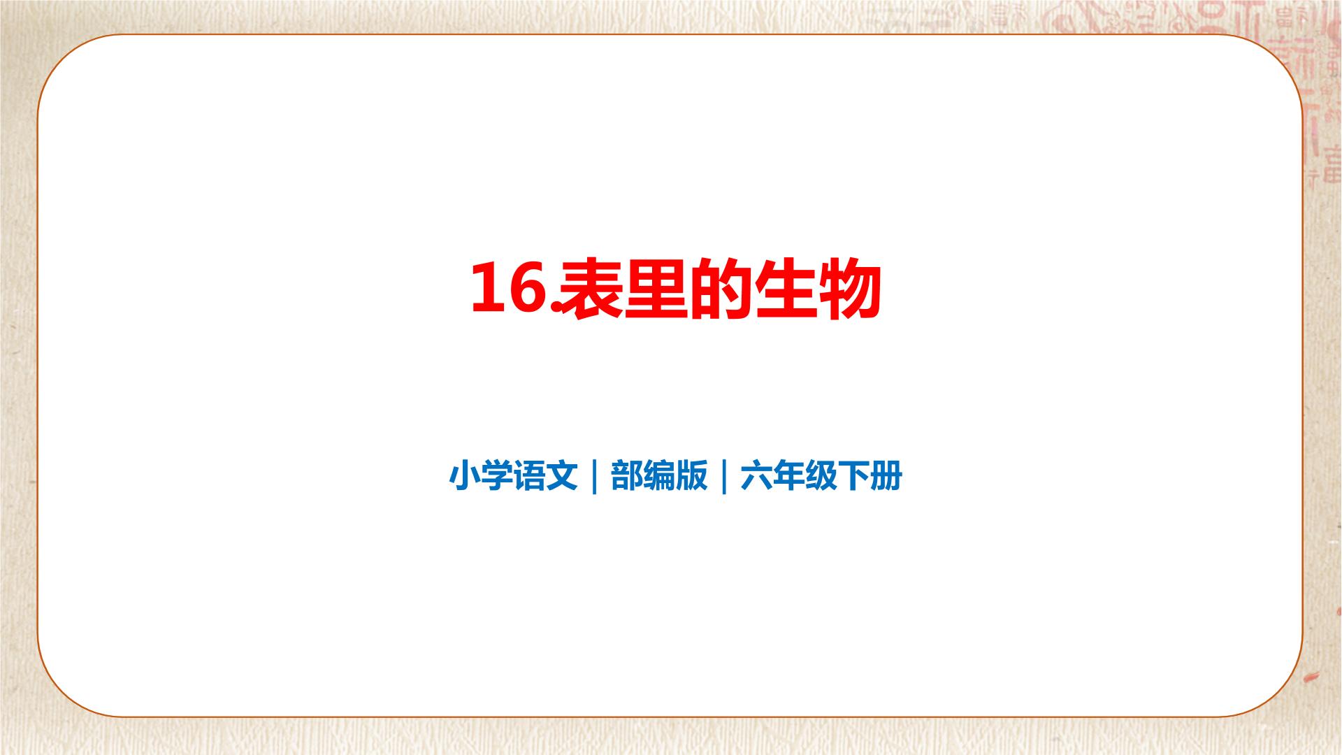 小学语文人教部编版六年级下册15 表里的生物试讲课课件ppt