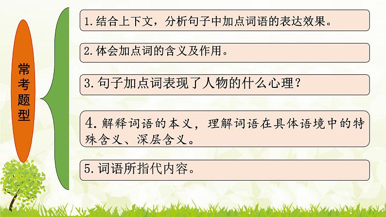 小升初阅读 词语表达效果(课件)部编版语文六年级下册05