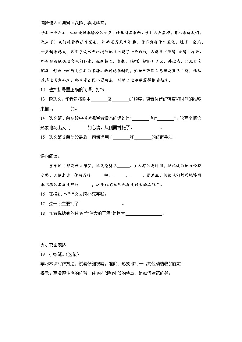 学霸复习——部编版语文四年级上册期中抢分复习(二)第3页