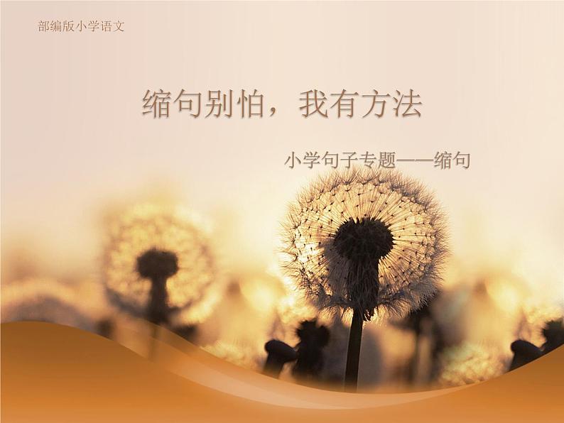 人教版(部编版)小学语文三年级上册 缩句别怕,我有方法 课件第1页
