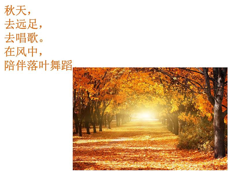 人教版(部编版)小学语文三年级上册6.秋天的雨 课件04