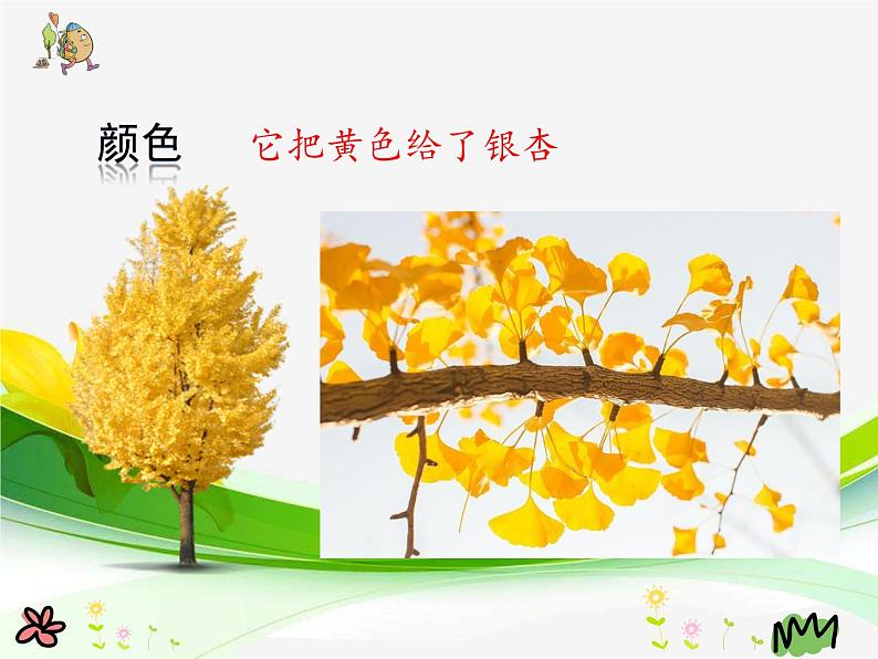 人教版(部编版)小学语文三年级上册6.秋天的雨 课件08