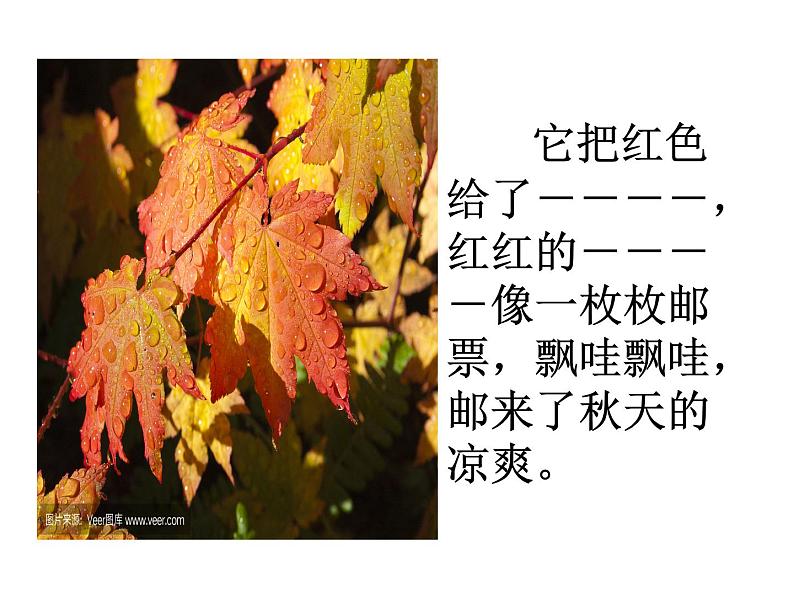 人教版(部编版)小学语文三年级上册6.秋天的雨 课件07