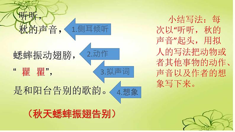 人教版(部编版)小学语文三年级上册7.听听,秋的声音 课件第8页