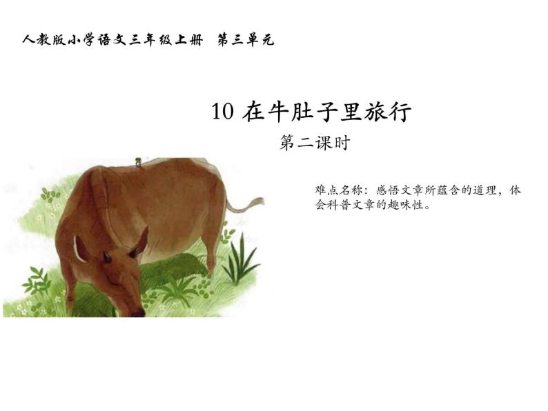 人教版（部编版）小学语文三年级上册 10.在牛肚子里旅行  课件01